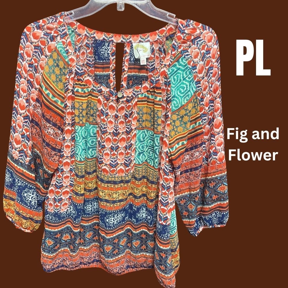 Fig and Flower Sheer Colorful Blouse Petite Large Excellent